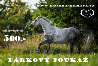 Dárkový poukaz - 500kč